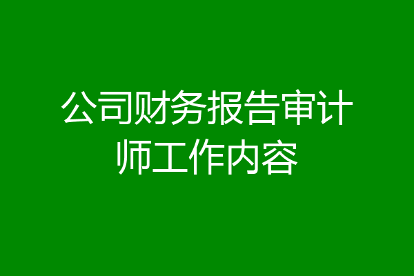 公司财务报告审计师工作内容