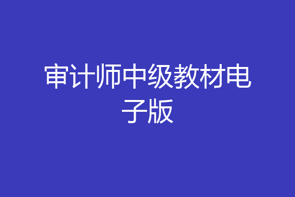 审计师中级教材电子版