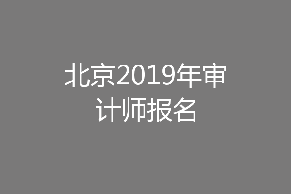 北京2019年审计师报名