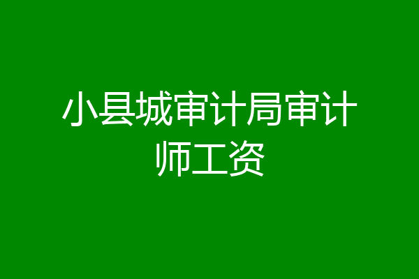小县城审计局审计师工资
