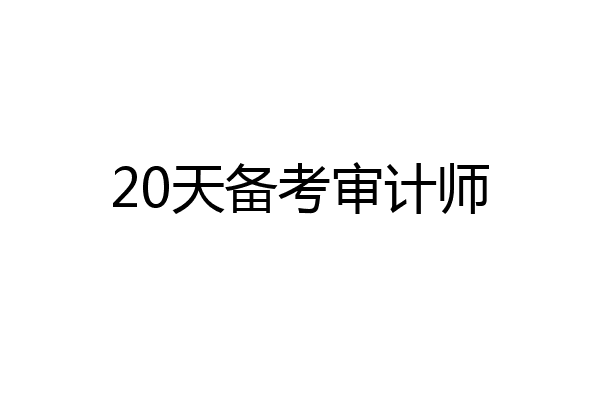 20天备考审计师