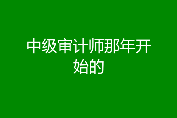 中级审计师那年开始的