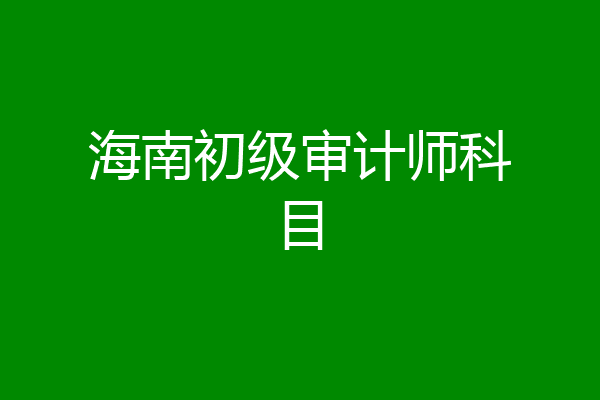 海南初级审计师科目