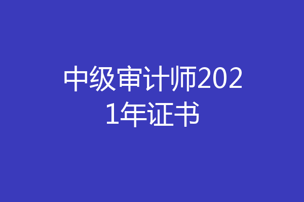 中级审计师2021年证书