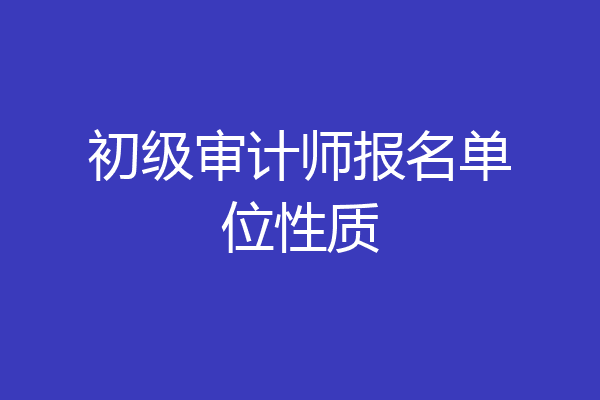 初级审计师报名单位性质