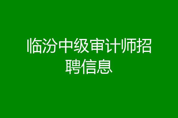 临汾中级审计师招聘信息