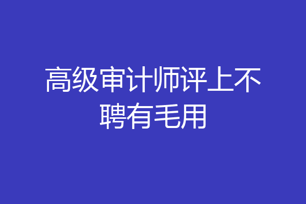 高级审计师评上不聘有毛用