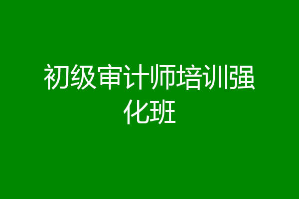 初级审计师培训强化班