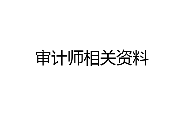 审计师相关资料