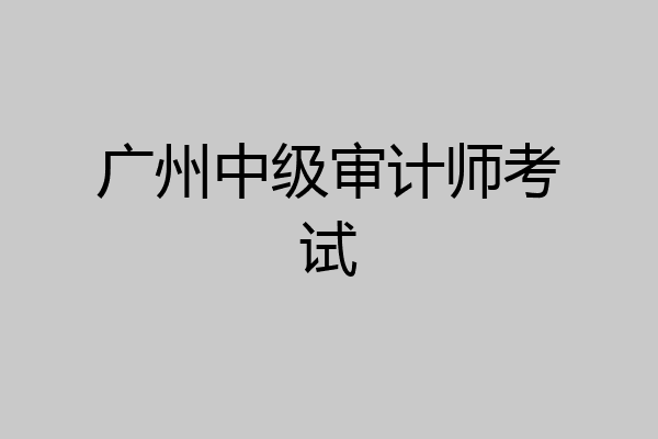 广州中级审计师考试