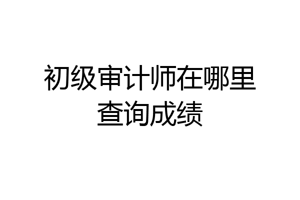 初级审计师在哪里查询成绩
