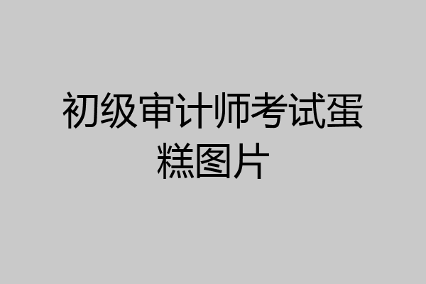初级审计师考试蛋糕图片
