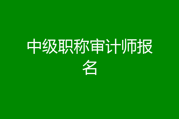 中级职称审计师报名