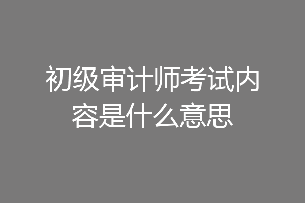 初级审计师考试内容是什么意思