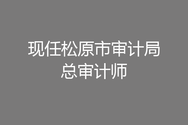 现任松原市审计局总审计师
