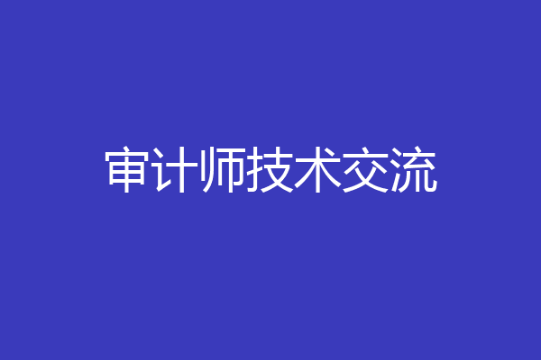 审计师技术交流