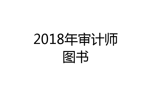 2018年审计师图书