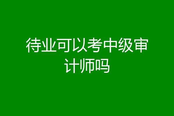 待业可以考中级审计师吗