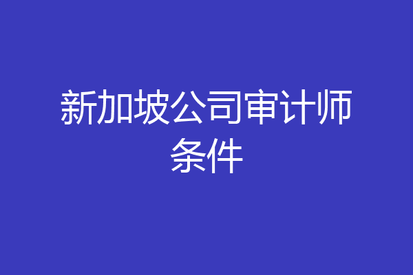 新加坡公司审计师条件