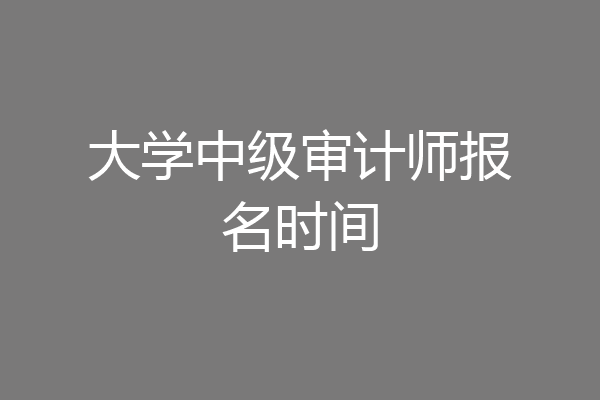 大学中级审计师报名时间