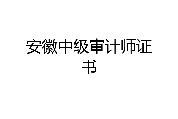 安徽中级审计师证书