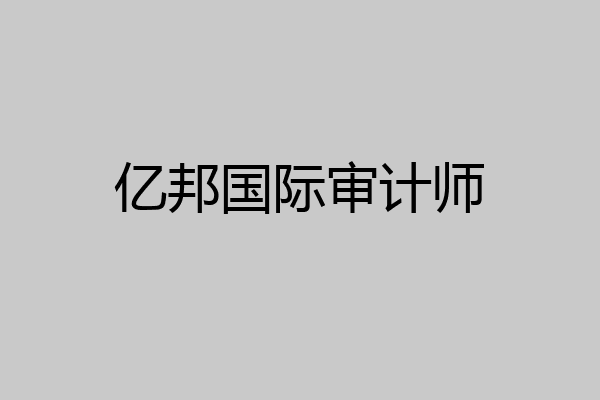 亿邦国际审计师
