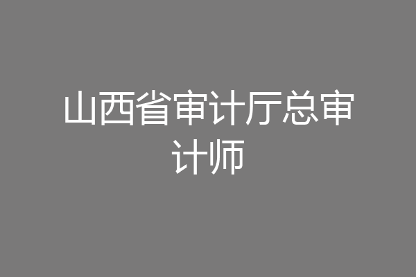 山西省审计厅总审计师