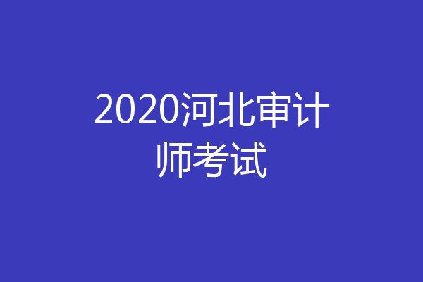 2020河北审计师考试