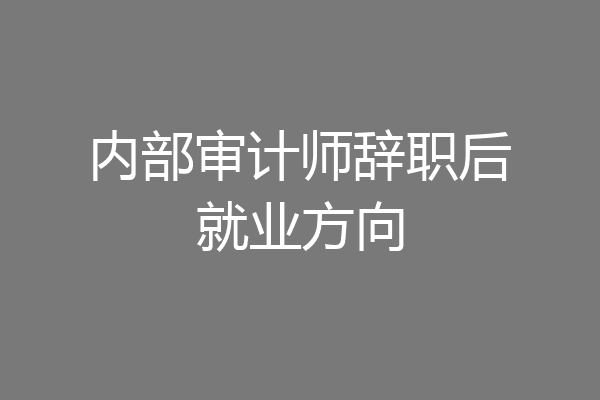 内部审计师辞职后就业方向