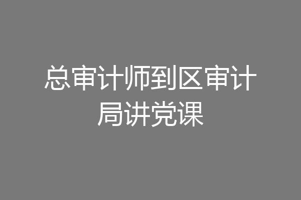 总审计师到区审计局讲党课