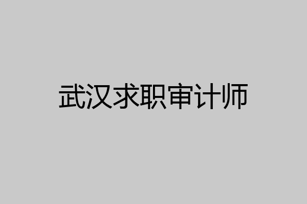 武汉求职审计师