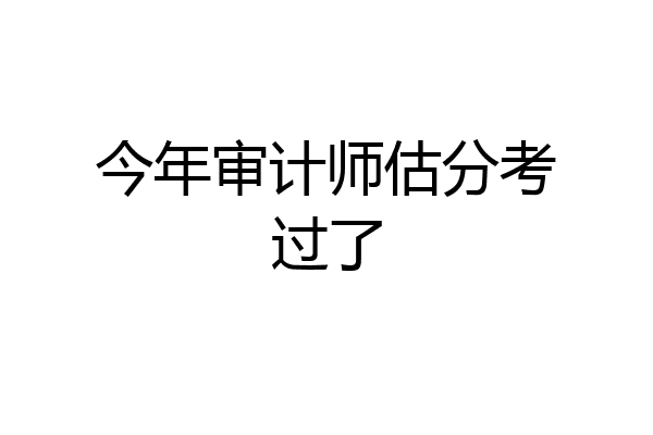 今年审计师估分考过了
