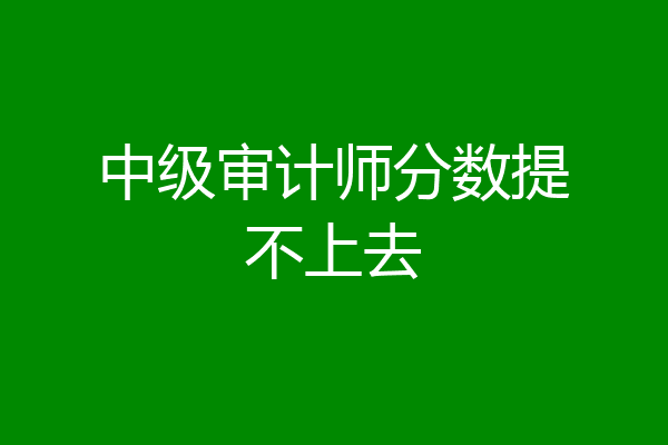 中级审计师分数提不上去
