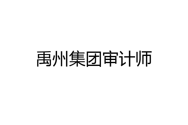 禹州集团审计师