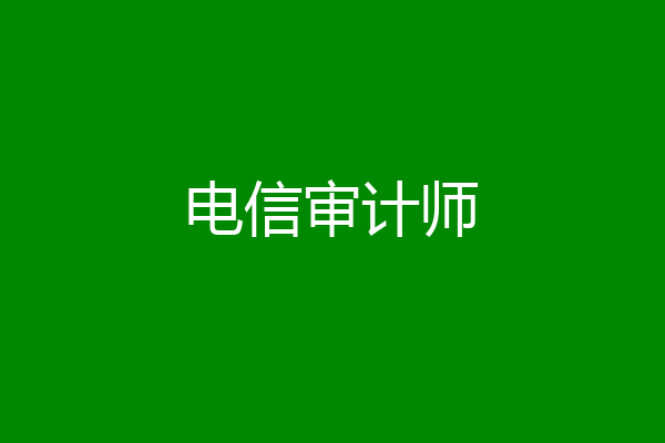 电信审计师
