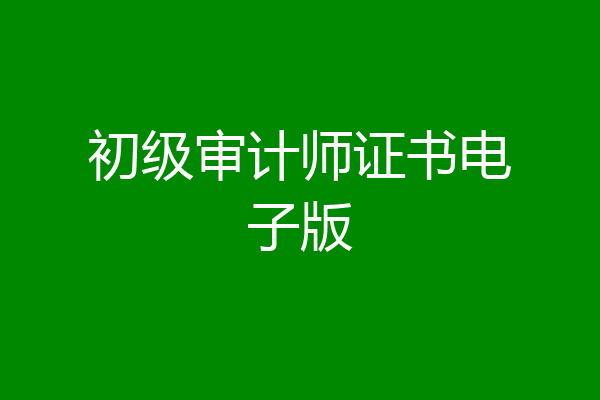 初级审计师证书电子版