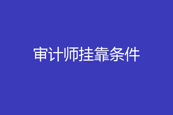 审计师挂靠条件