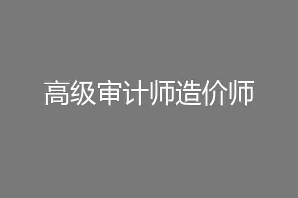 高级审计师造价师