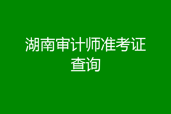 湖南审计师准考证查询
