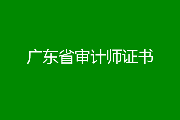广东省审计师证书