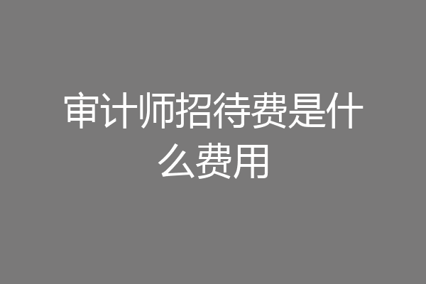 审计师招待费是什么费用