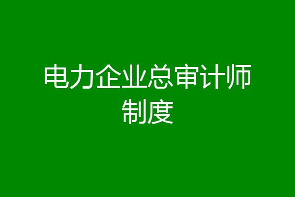 电力企业总审计师制度