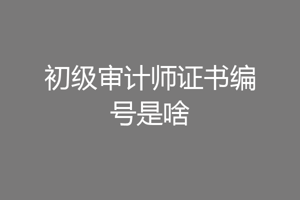 初级审计师证书编号是啥