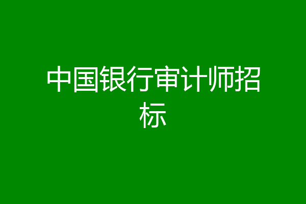 中国银行审计师招标