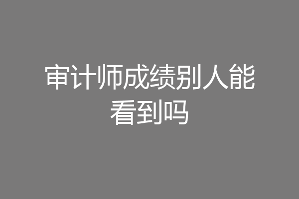 审计师成绩别人能看到吗