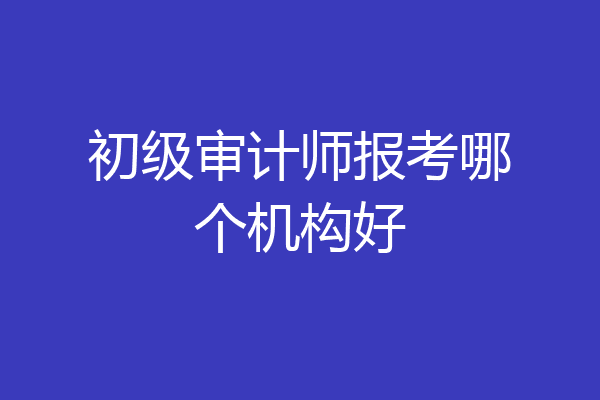 初级审计师报考哪个机构好