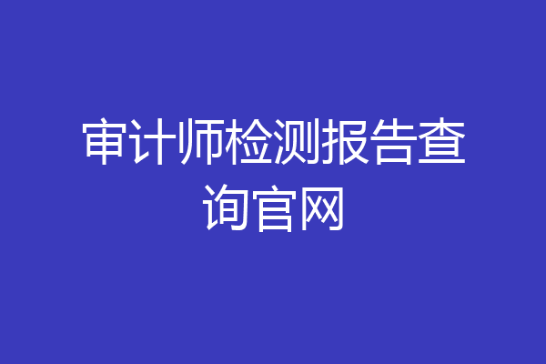 审计师检测报告查询官网