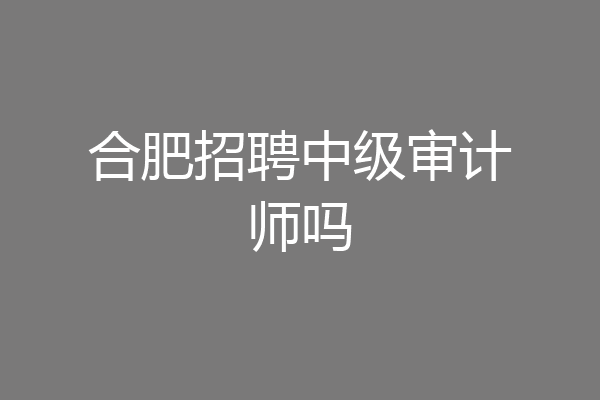 合肥招聘中级审计师吗