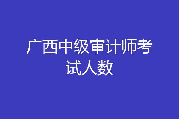 广西中级审计师考试人数