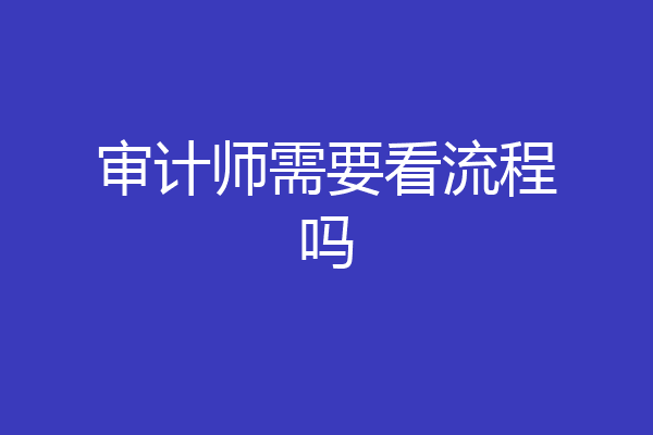 审计师需要看流程吗